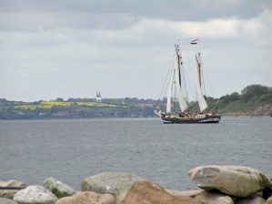 Pegasus zeilen 5